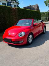 Volkswagen Beetle 1.2 TSI BMT Design Cabriolet Design - Volkswagen Beetle: Rot, Cabrio