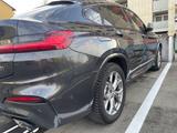 BMW X4 M40 M40i - - BMW X4 M40: Grau