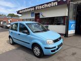 Fiat Panda 1.2 8V MyLive Klima Servo - Fiat Panda Gebrauchtwagen in Mönchengladbach