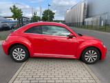 Volkswagen New Beetle Lim. Design 160 PS /75 TKM/ TÜV Neu - Volkswagen: Rot