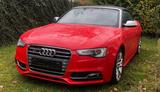 Audi S5 3.0 TFSI Cabrio Reimport - Audi Cabriolet Gebrauchtwagen
