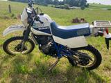 Suzuki DR600 - Offers matching your search criteria