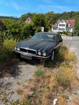 Jaguar XJ6 X300 V6 Automatik Leder Echtholz - Jaguar XJ6 aus 1995