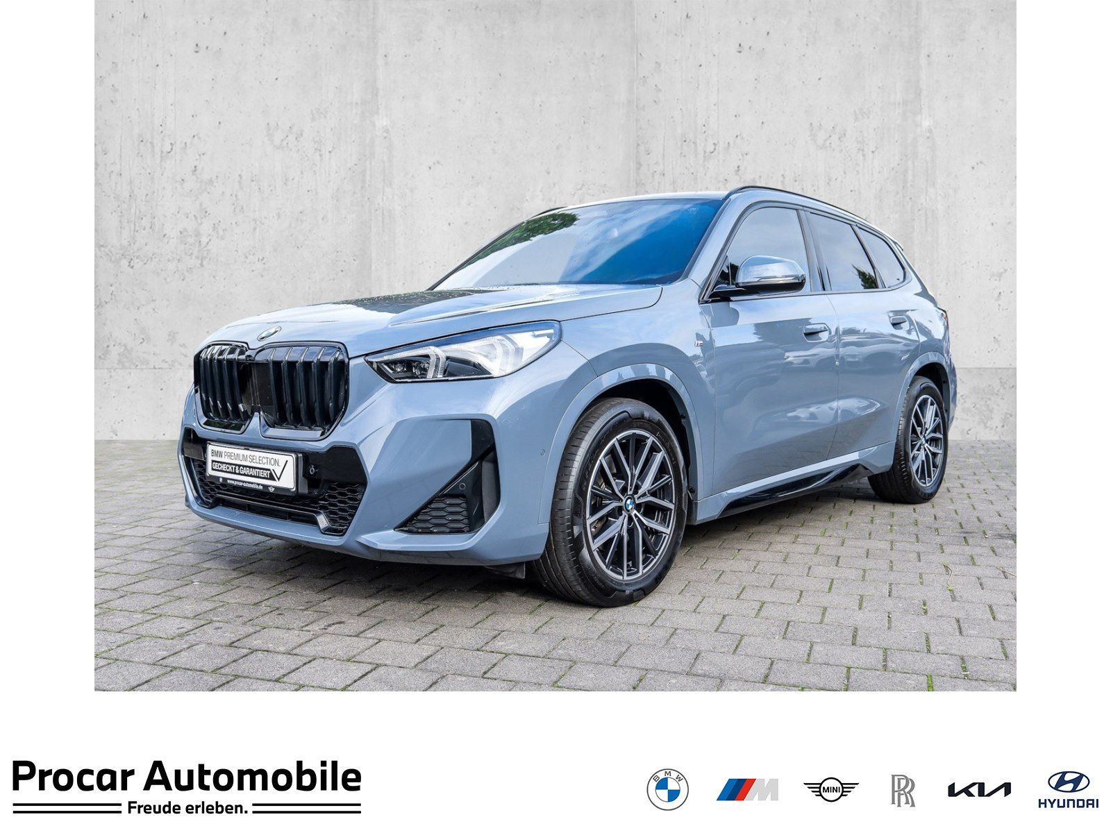 BMW X1 sDrive20i M Sport PANO ACC RFK NAVI LED DAB