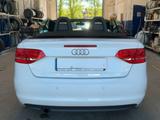 Audi A3 Cabriolet Attraction - Audi A3 aus 2010: Cabrio
