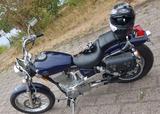 Suzuki LS650 Savage - SUZUKI SAVAGE