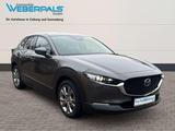 Mazda CX-30 Exclusive-Line 2WD-BOSE-360 KAMERA-MATRIX- - Mazda CX-30 Exclusive-Line mit Benzin-Antrieb