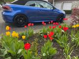 Volkswagen Golf 2.0 TSI R DSG Cabriolet R - Volkswagen Golf mit Benzin-Antrieb: Cabrio, 2.0