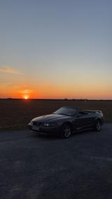 Ford Mustang sn95 - gebrauchte Ford Mustang aus dem Jahr 2003