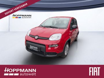 Fiat Leasing Angebot: Fiat Panda PANDINA 1.0 51 kW (70PS) GSE *CITY-PAKET*