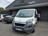 Peugeot Boxer Kasten 330 L1H1 Avantage Edition HDi 110 - Peugeot Boxer in Bochum