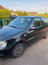 Volkswagen VW Polo 6N2 1.0 50 PS TÜV Neu - Volkswagen Polo: 50