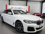 BMW 520d Touring xDrive M-SPORTPAKET WHITE & BROWN