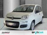 Fiat Panda 1.2 8V Klimaanlage Garantie Radio - gebrauchte Fiat Panda aus dem Jahr 2020