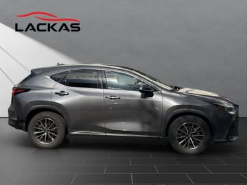Lexus NX 350h - 6