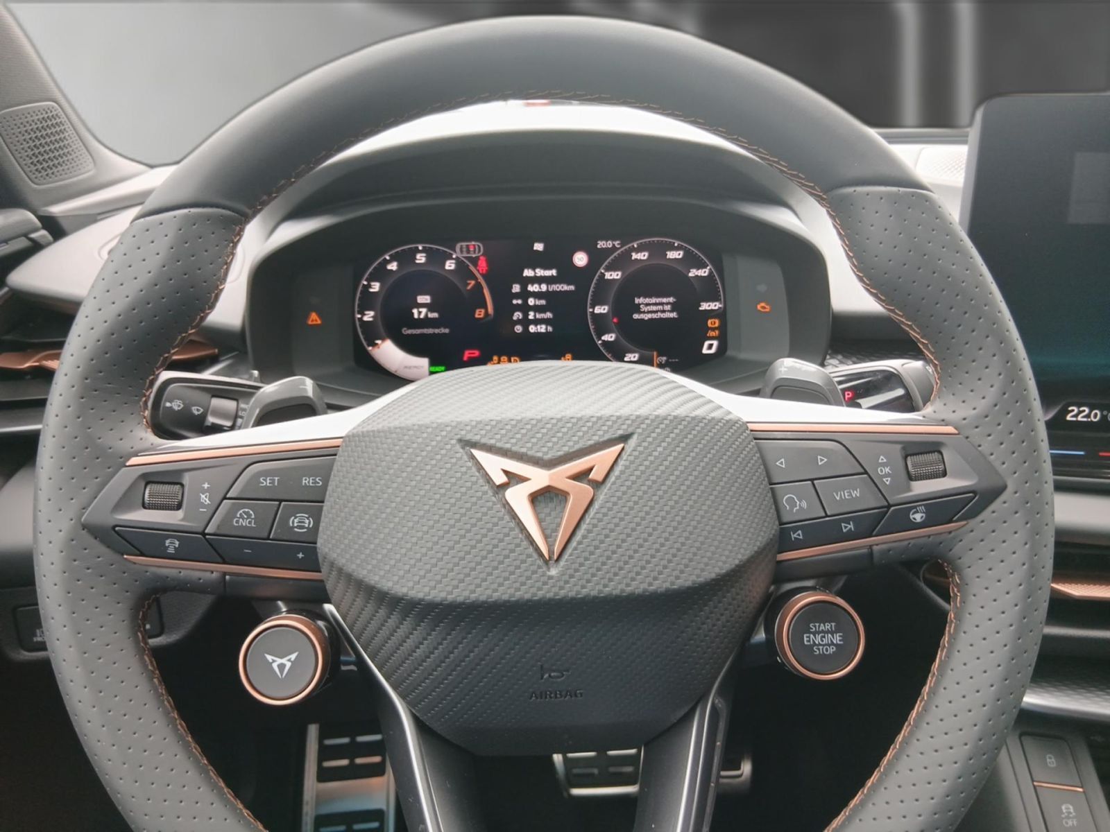 Cupra Terramar - Bild 13