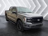 Ford F 150 LARIAT Black Edition 2025 4X4 5.0L - Ford F 150 Neuwagen