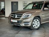 Mercedes-Benz GLK 220 CDI BlueTec 4Matic *1.Hand*Panorama* - Mercedes-Benz GLK 220 Gebrauchtwagen in Hannover