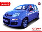 Fiat Panda 1.2 Easy Klima Sitzheizung USB Bluetooth - gebrauchte Fiat Panda aus dem Jahr 2019