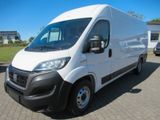 Fiat Ducato Maxi Grossr.-Kasten 35 140 L5H2+SHZ+ - Fiat Ducato l5h2