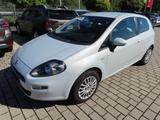 Fiat Punto 1,3 More Klima neuer Zahnriemen - Fiat Punto: More