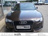 Audi A5 Cabriolet 1,8 TFSI Navi B+O Memory ACC - Audi A5: Braun, Cabrio