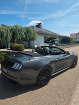 Ford Mustang 5.0 V8 GT Convertible - Ford Mustang mit Benzin-Antrieb: Cabrio, 5.0