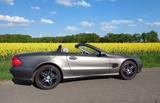 Mercedes-Benz SL350 individuelles Einzelstück, nur Somme... - gebrauchte Mercedes-Benz SL 350 aus dem Jahr 2004