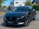 Mazda CX-30 Selection 2WD*Navi*RFK*Tempo*PDC*SHZ* - Mazda CX-3 aus 2020