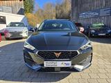 Cupra Leon Sportstourer e-Hybrid - Cupra aus 2021