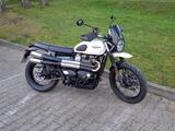 Triumph Street Scrambler 900 - sehr gepflegt m. Garantie - TRIUMPH SCRAMBLER