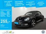 Volkswagen Beetle Cabriolet 1.4 TSI Exclusive Sport *XENON* - Volkswagen Beetle: Sport
