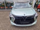 DFSK Forthing 4 PHEV - DFSK Forthing 4 Gebrauchtwagen