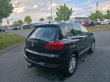 Volkswagen Tiguan Life BMT 4Motion*Navi*SHZ*AHK 8Fachbereif - Volkswagen Tiguan: Schwarz
