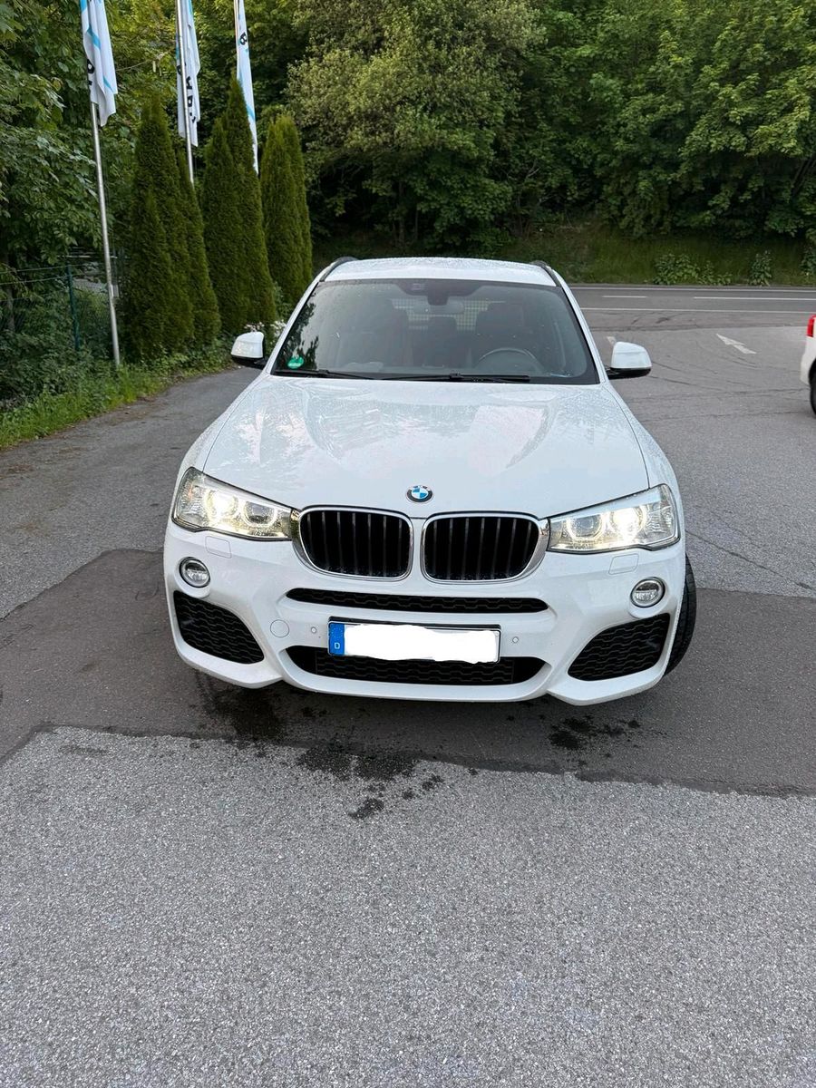 BMW BMW X3  Das perfekte Familienauto!
