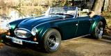 Andere Sebring Roadster, optisch ähnlich Austin Healey