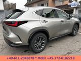 Lexus NX 350h E-Four Business*NAVI*BI-LED*CarPlay* - silberne Lexus NX-Serie