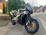 Aprilia RSV Tuono 1000R 2006 LeoVince - APRILIA TUONO 1000R