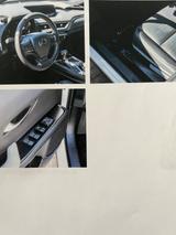 Lexus UX 250h Style Edition Style Edition - Lexus Gebrauchtwagen in Hamburg