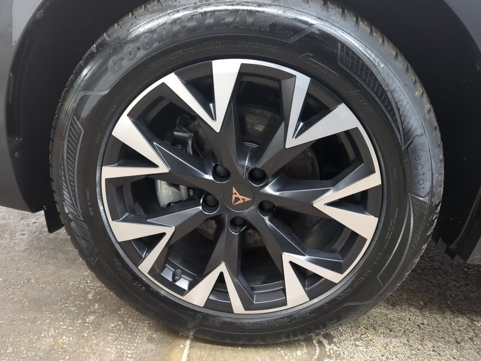 Cupra Terramar - Bild 12
