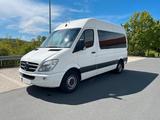 Mercedes-Benz Mercedes Sprinter 313cdi w906 L2H2 mit Sma... - Mercedes-Benz Sprinter w906 Gebrauchtwagen