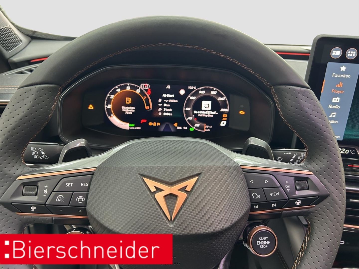 Cupra Formentor - Bild 15