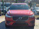 Volvo XC 60 XC60 R Design AWD126T*Automatik*126.TKM* - Volvo XC60: R Design