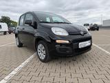 Fiat Panda Pop - Fiat Panda: Pop