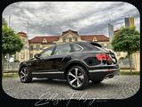 Bentley Bentayga 4.0 V8 Diesel 4WD Autom.|19%| 22" - Bentley Bentayga aus 2019