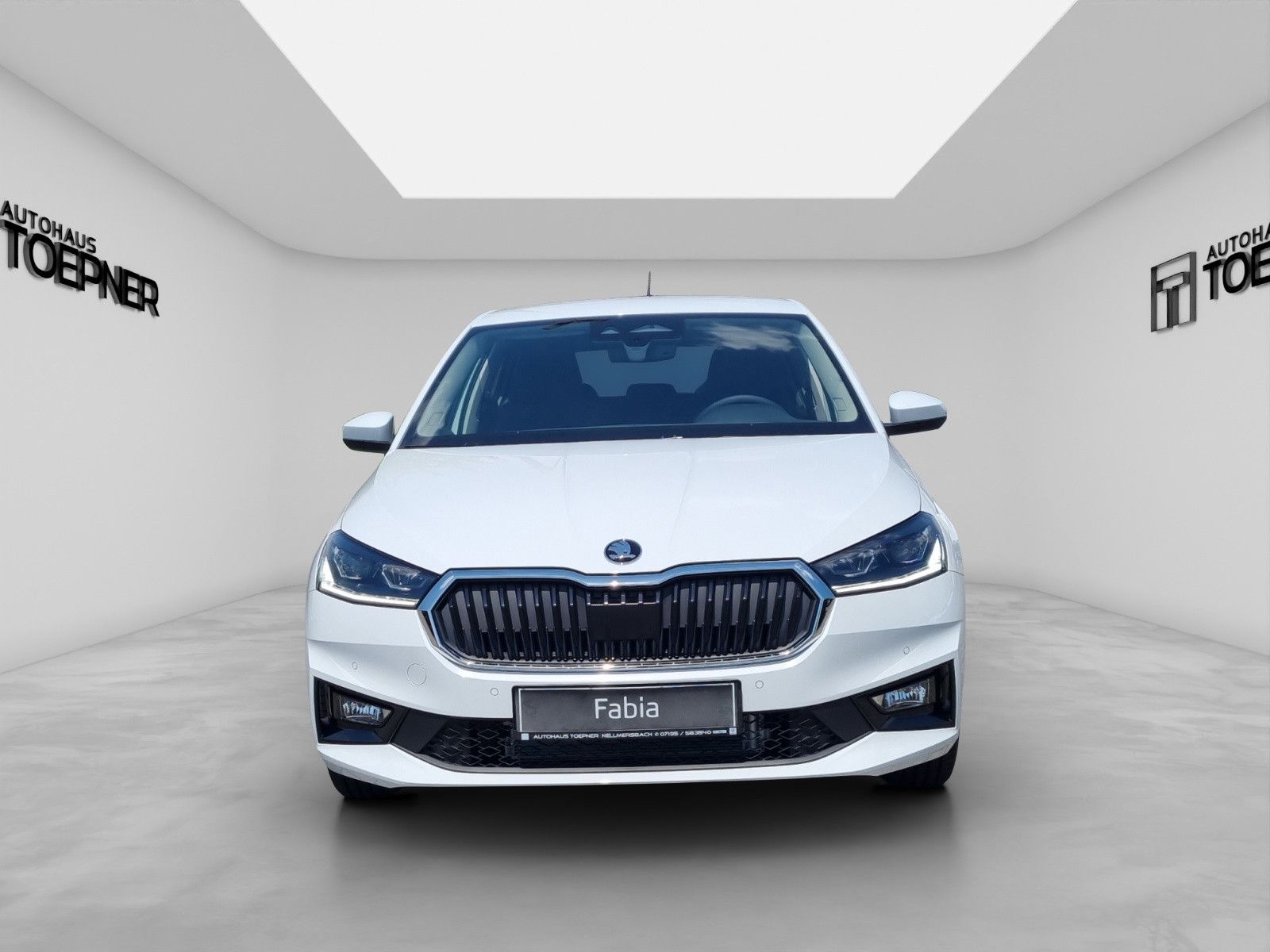 Fahrzeugabbildung SKODA Fabia Balance 1,0 TSI