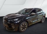 Cupra Terramar *360° CAM*LED*NAVI*APP CONNECT*HUD* - schwarze Cupra Terramar