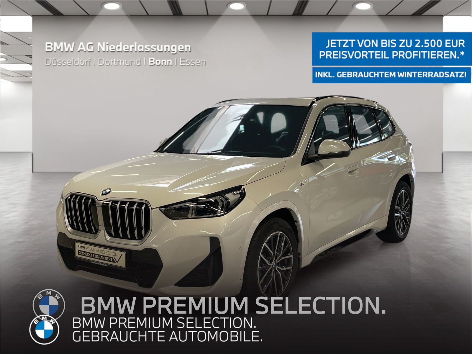 BMW X1 xDrive20d M Sport AHK Driv.Assist Harman K foto 1