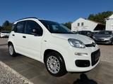Fiat Panda My Panda Sportsitze Sport Lenkrad - scheckheftgepflegte Fiat Panda