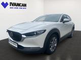 Mazda CX-30 2.0i 150PS SELECTION DES-P PRE-P - Mazda CX-30 mit Hybrid-Antrieb